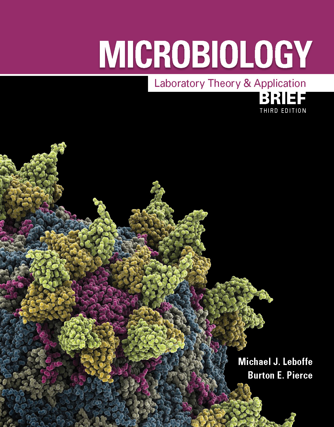 Microbiology: Laboratory Theory and by: Michael Leboffe and